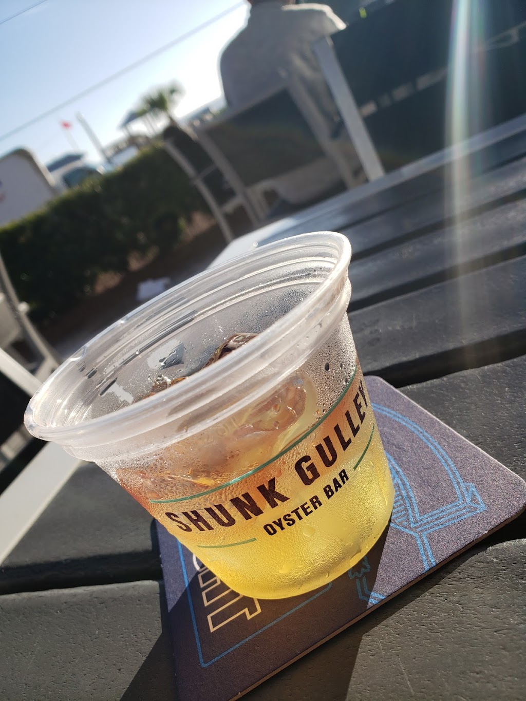 Shunk Gulley Oyster Bar | restaurant | 1875 S Co Hwy 393, Santa Rosa Beach, FL 32459, USA | 8506222733 OR +1 850-622-2733