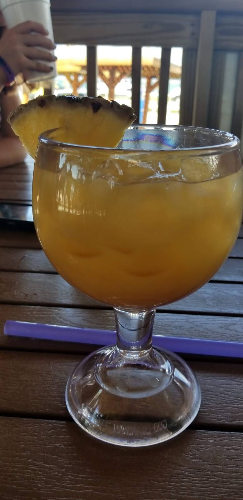 Hi & Dry Grill | restaurant | 61 Causeway Blvd, Dunedin, FL 34698, USA | 7275104445 OR +1 727-510-4445