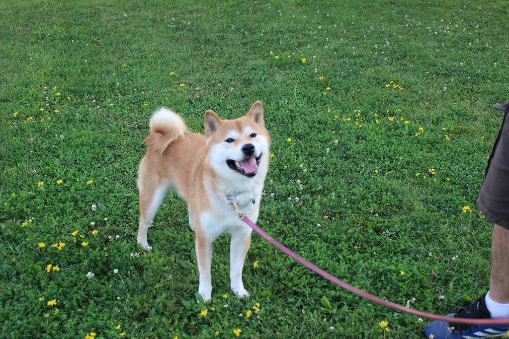 CaptainK9 | restaurant | 2115 Midland Ave Unit 9, Scarborough, ON M1P 3E4, Canada | 4162936686 OR +1 416-293-6686