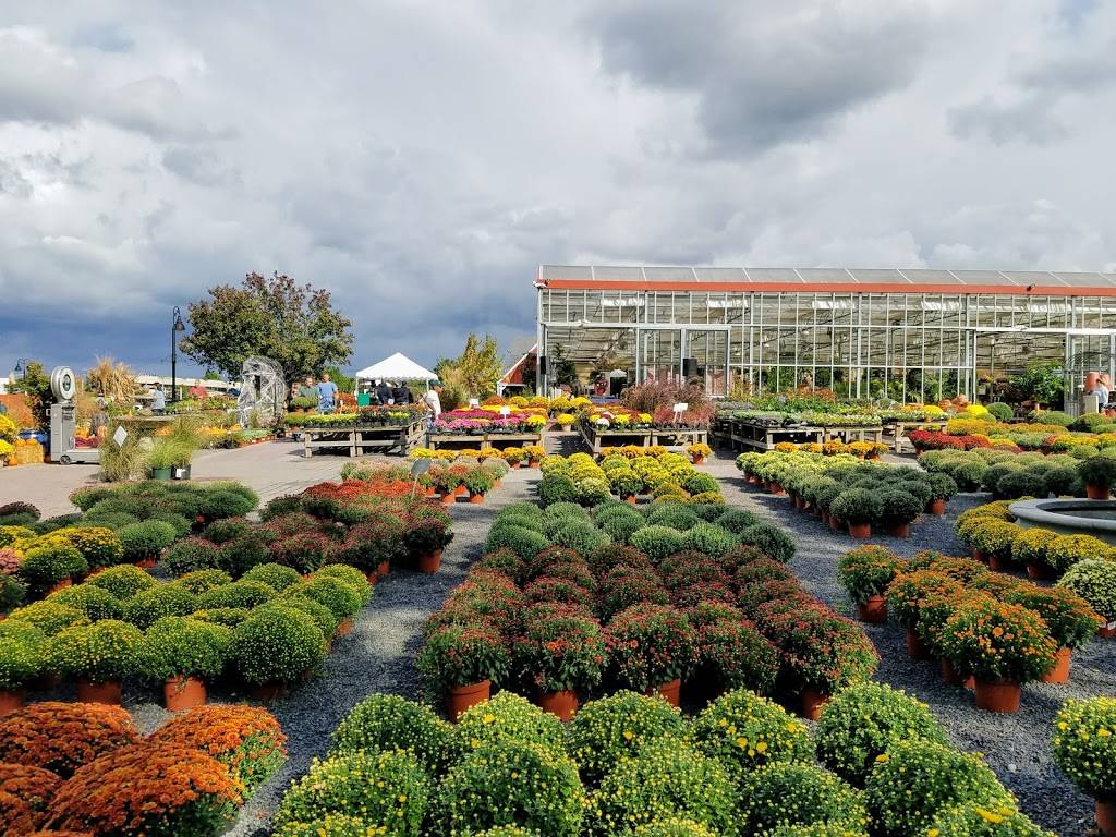 Dearborn Market | bakery | 2170 NJ-35, Holmdel, NJ 07733, USA | 7322640256 OR +1 732-264-0256