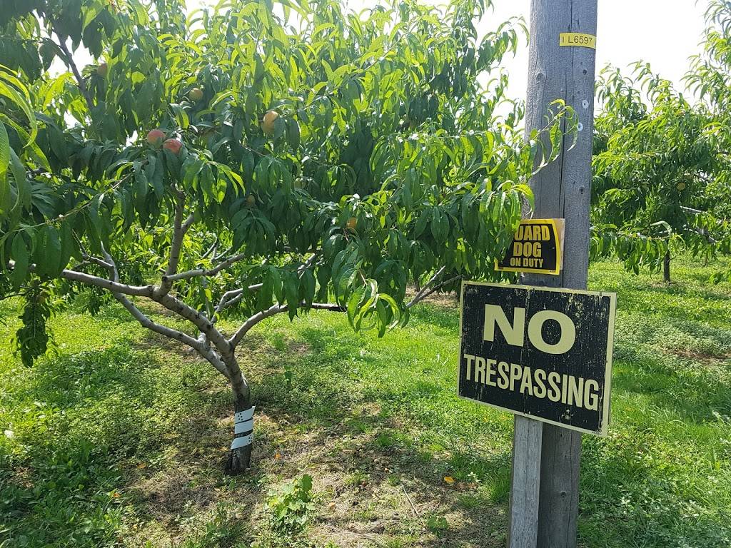 Mings Garden | restaurant | 4630 Victoria Ave, Vineland Station, ON L0R 2E0, Canada | 9055626888 OR +1 905-562-6888