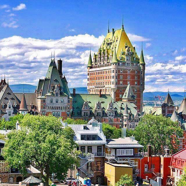 Tonys Pizzeria | meal delivery | 3145 Fulton St, Brooklyn, NY 11208, USA | 7188271994 OR +1 718-827-1994