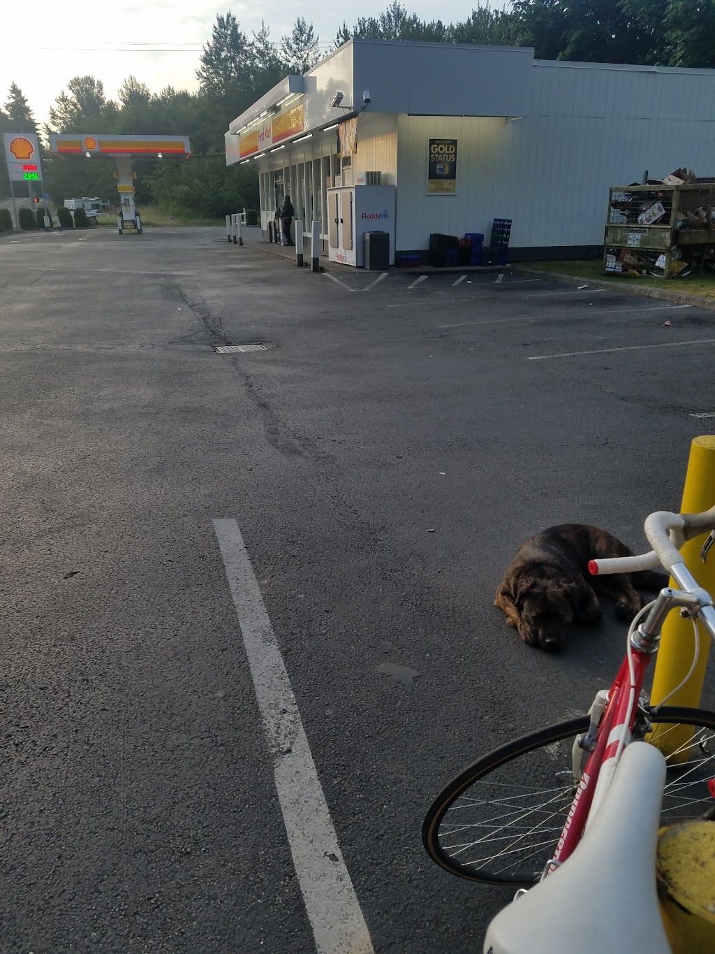 Shell | restaurant | 12714 122nd St E, South Hill, WA 98374, USA | 2538412897 OR +1 253-841-2897