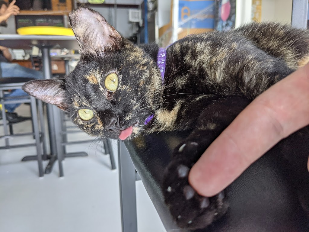 Strong Arm Brew Works | restaurant | 1825 Dickinson Ave, Dickinson, TX 77539, USA | 2816788260 OR +1 281-678-8260