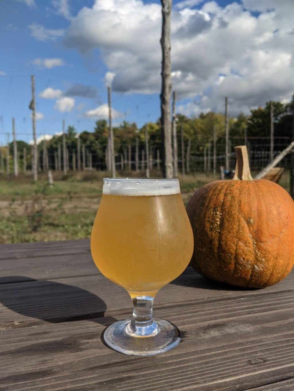 Arrowood Farms | restaurant | 236 Lower Whitfield Rd, Accord, NY 12404, USA | 8452530389 OR +1 845-253-0389