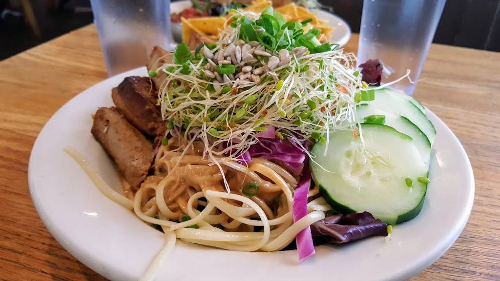 Cafe Evolution | cafe | 22 Chestnut St, Florence, MA 01062, USA | 4135860200 OR +1 413-586-0200