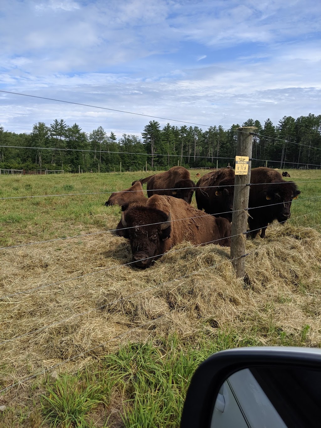 Marsh Meadow Bison | restaurant | 16 Scales Rd, Canterbury, NH 03224, USA | 6037830083 OR +1 603-783-0083