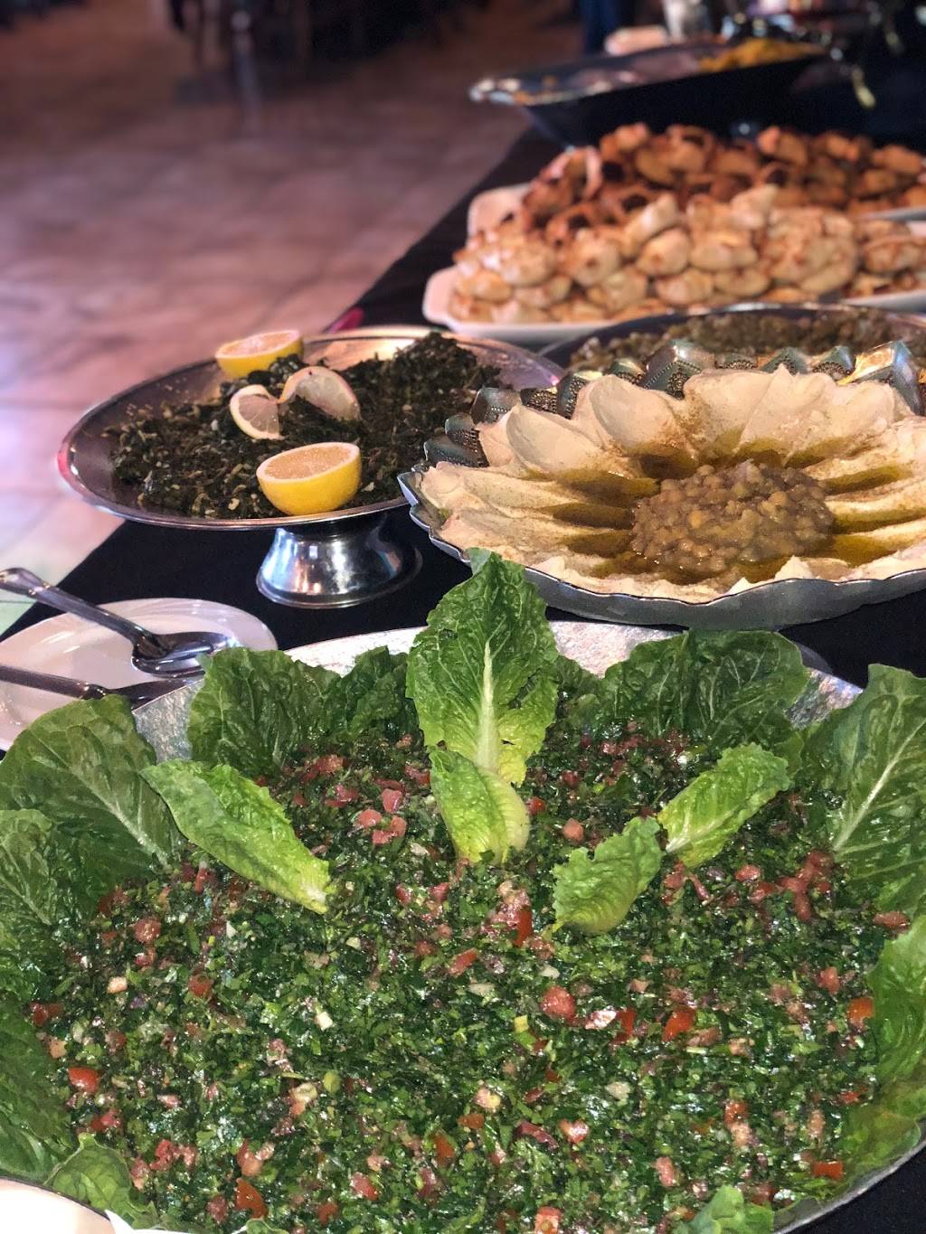 Zenobia Middle Eastern Cuisine | restaurant | 584 E Main St, Canfield, OH 44406, USA | 3302860800 OR +1 330-286-0800