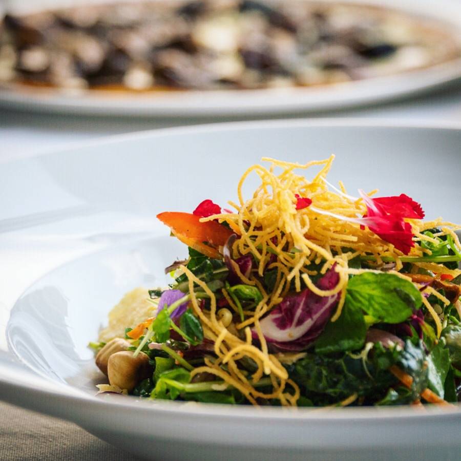 PAESE Ristorante | meal takeaway | 3827 Bathurst St, North York, ON M3H 3N1, Canada | 4166316585 OR +1 416-631-6585