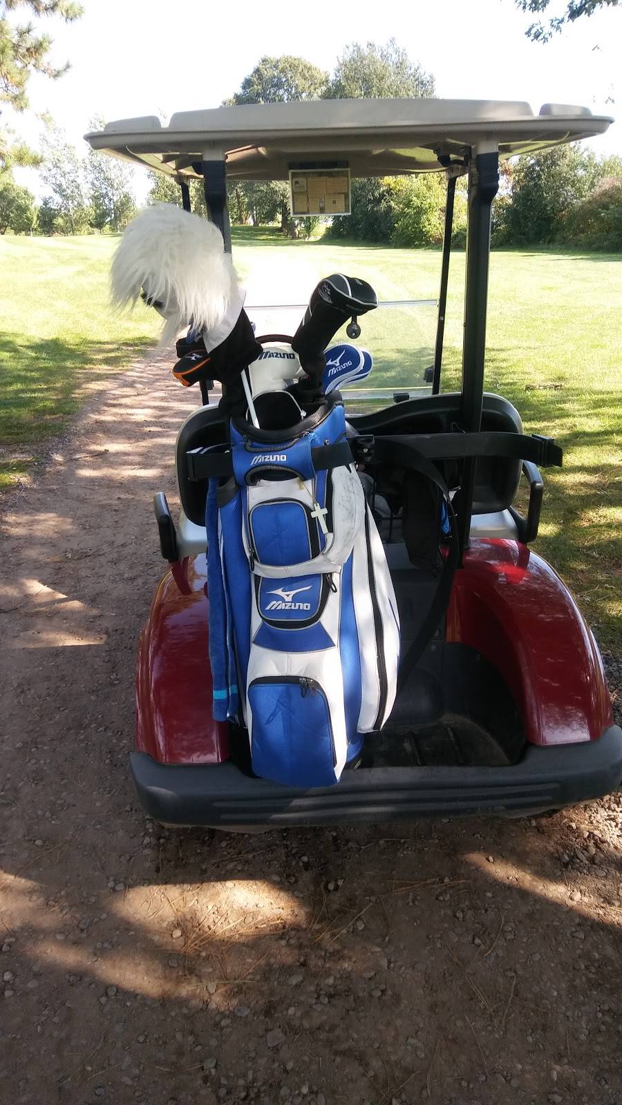 Frederic Golf Course | restaurant | 905 S Wisconsin Ave, Frederic, WI 54837, USA | 7153278250 OR +1 715-327-8250