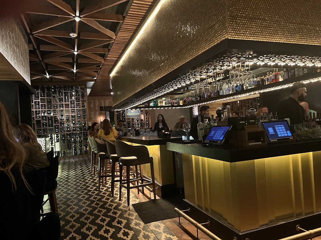 The Mexican | restaurant | 1401 Turtle Creek Blvd, Dallas, TX 75207, USA | 2142105700 OR +1 214-210-5700