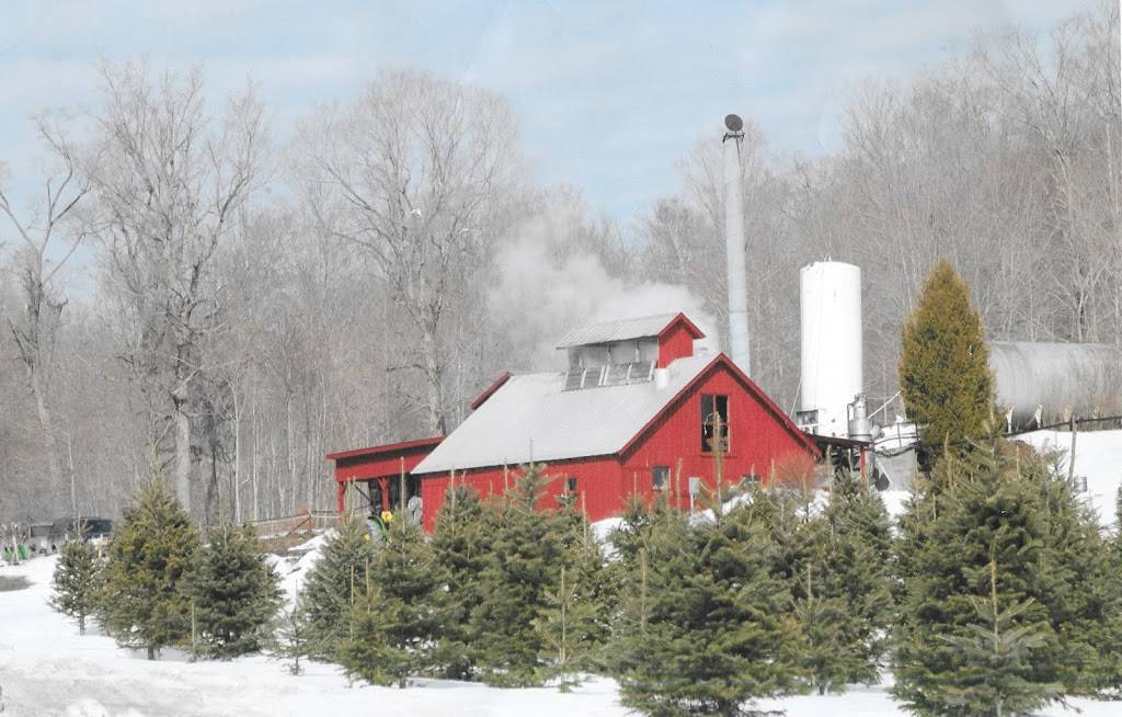 Purinton Maple and Tree Farm | restaurant | 190 Pond Rd, Huntington, VT 05462, USA | 8024344385 OR +1 802-434-4385