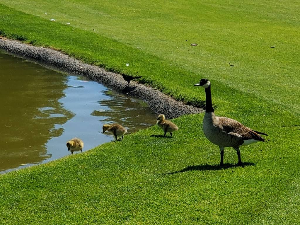 Las Vegas Golf Club | restaurant | 4300 W Washington Ave, Las Vegas, NV 89107, USA | 7026463003 OR +1 702-646-3003