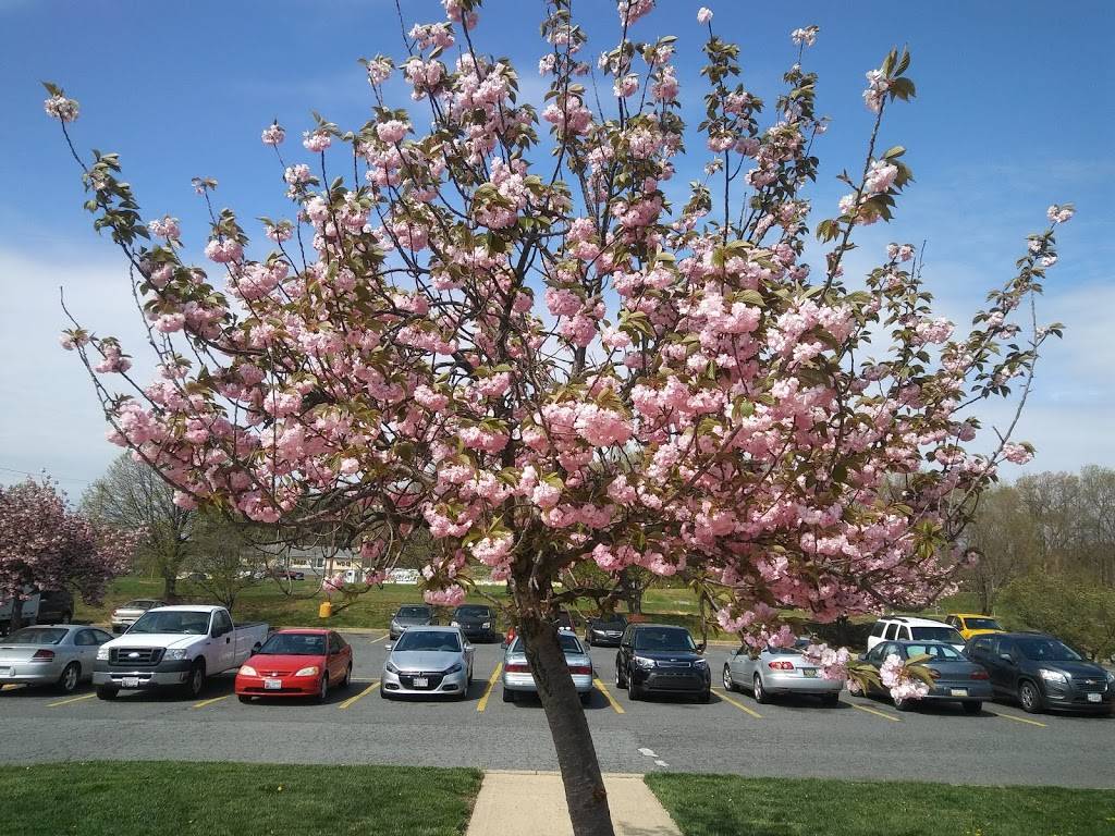 Flying J Travel Center | restaurant | 1 Center Dr, North East, MD 21901, USA | 4102877110 OR +1 410-287-7110