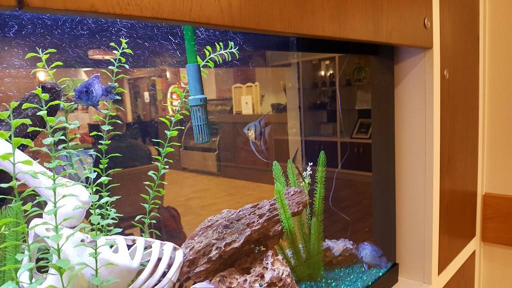 Commodore Grille | restaurant | 2613 West End Ave, Nashville, TN 37203, USA | 6153274707 OR +1 615-327-4707