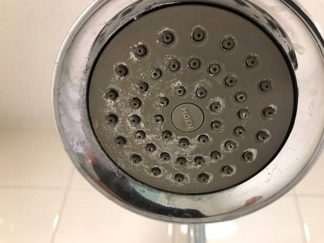 Omni resort | restaurant | 39 Beach Lagoon Rd, Fernandina Beach, FL 32034, USA | 9042616161 OR +1 904-261-6161