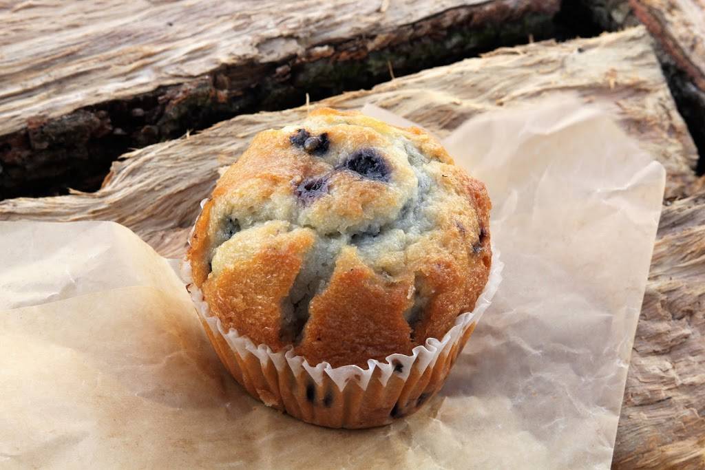 GoBears Southern Eatery | cafe | 352 LA-3162, Galliano, LA 70354, USA | 9856325252 OR +1 985-632-5252