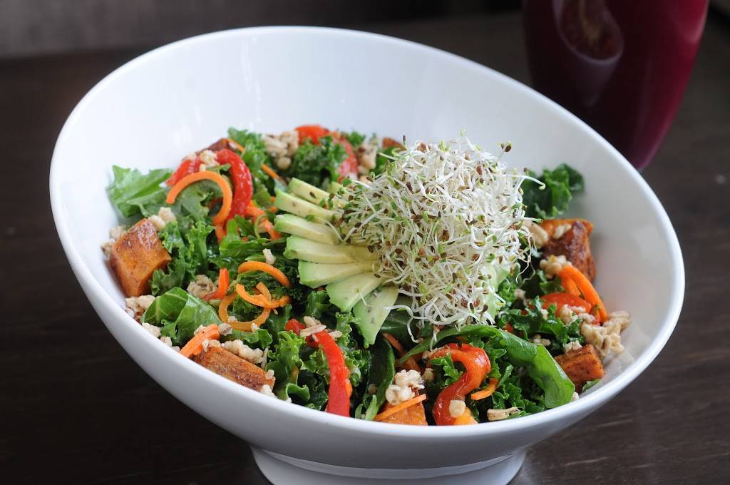 Thrive Organic | restaurant | 3473 Lake Shore Blvd W, Etobicoke, ON M8W 1N5, Canada | 4162527700 OR +1 416-252-7700