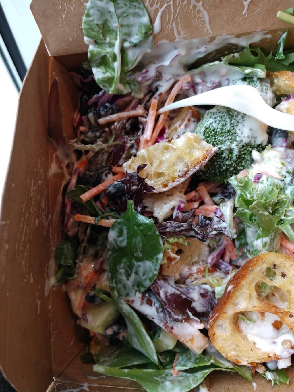 The Salad Bar | restaurant | 856 Cromwell Ave, Rocky Hill, CT 06067, USA | 9592304542 OR +1 959-230-4542