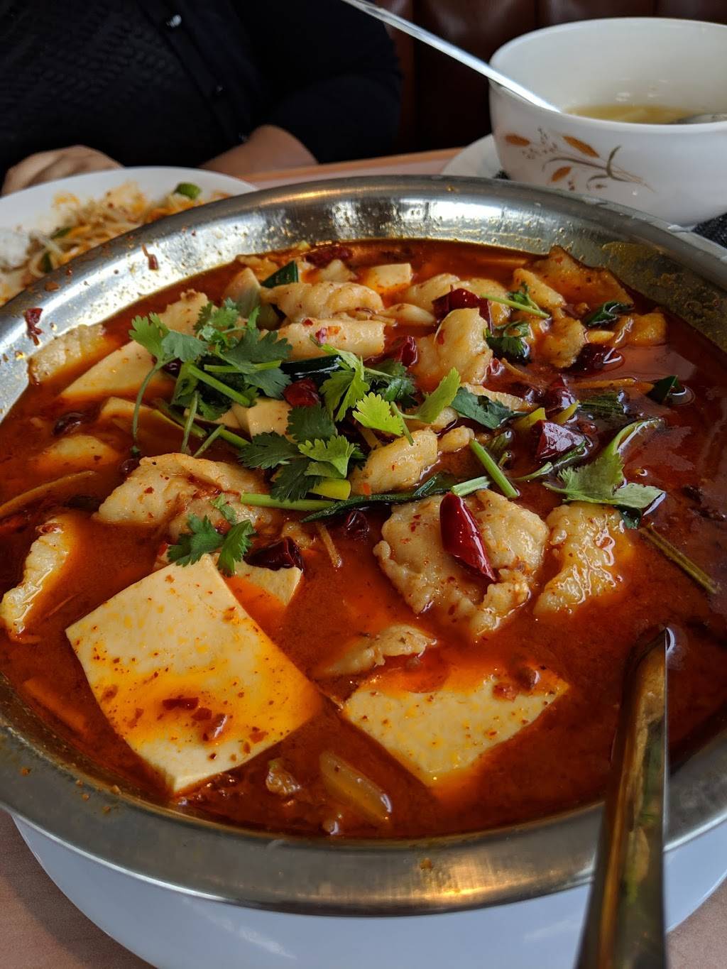 YP Sichuan | restaurant | 301 E Michigan Ave, Ypsilanti, MI 48198, USA | 7345441299 OR +1 734-544-1299