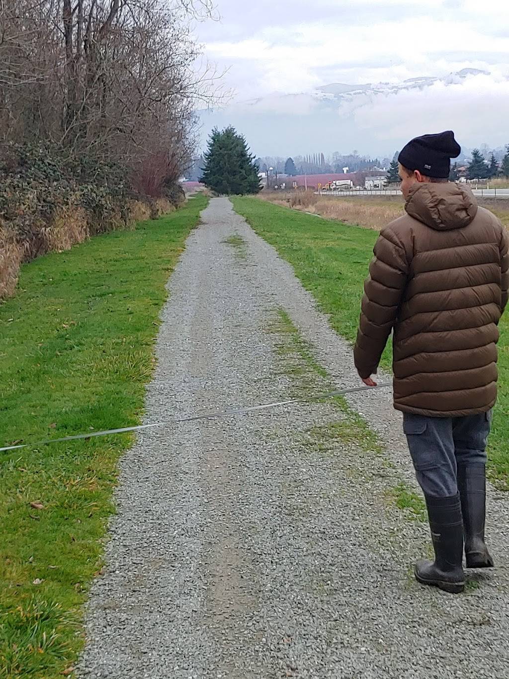 Costco Food Court | meal takeaway | 1725 S Burlington Blvd, Burlington, WA 98233, USA | 3607575719 OR +1 360-757-5719