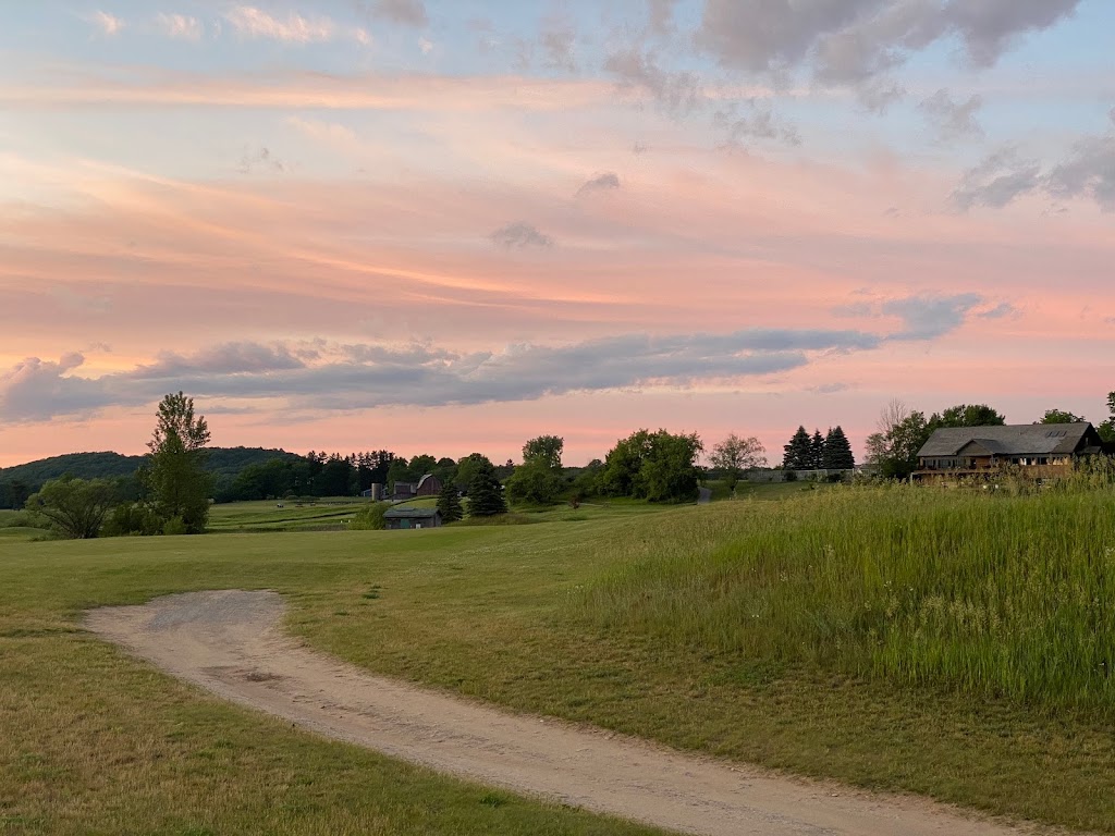 Mistwood Golf Course | restaurant | 7568 Ole White Dr, Lake Ann, MI 49650, USA | 2312755500 OR +1 231-275-5500