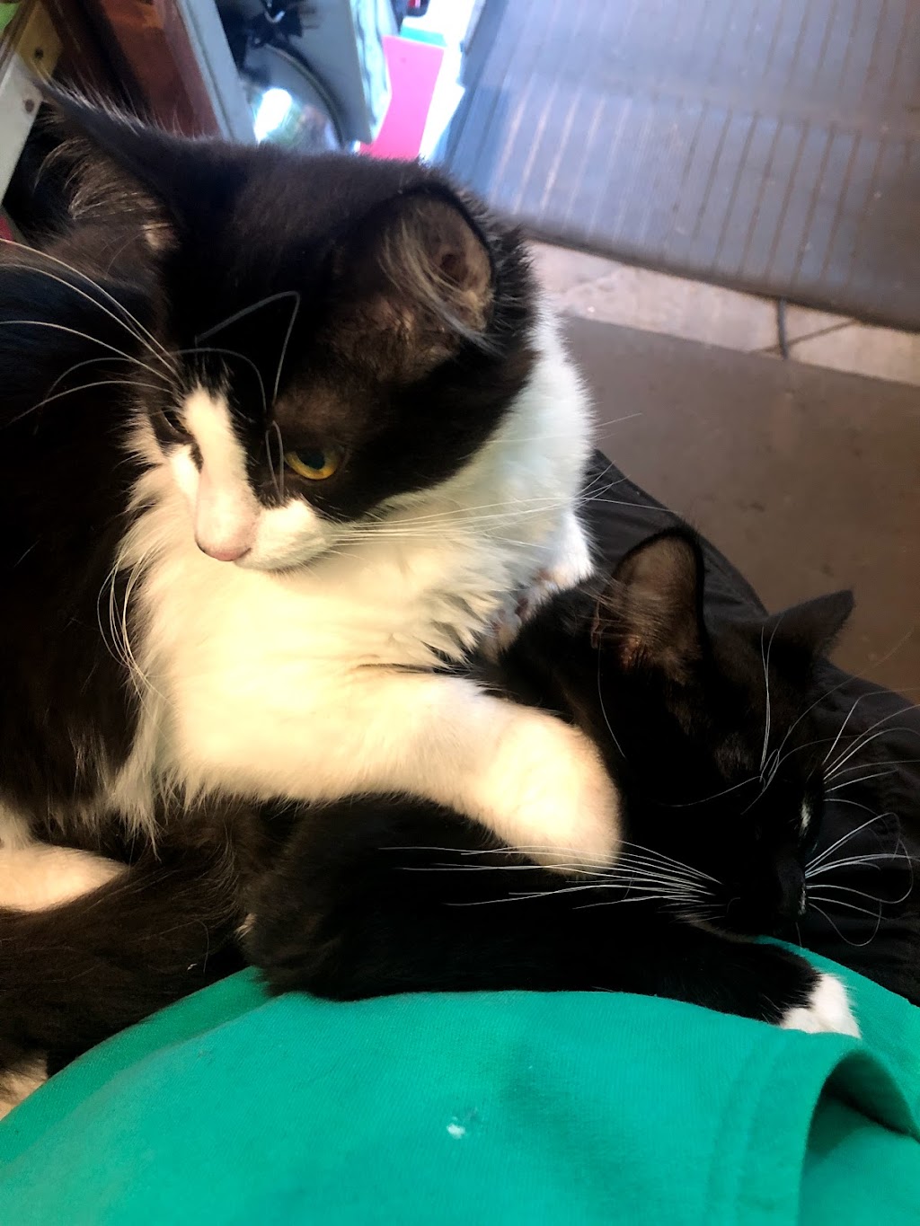 Urban Feed and Garden | restaurant | 4878 Beacon Ave S, Seattle, WA 98108, USA | 2064202047 OR +1 206-420-2047