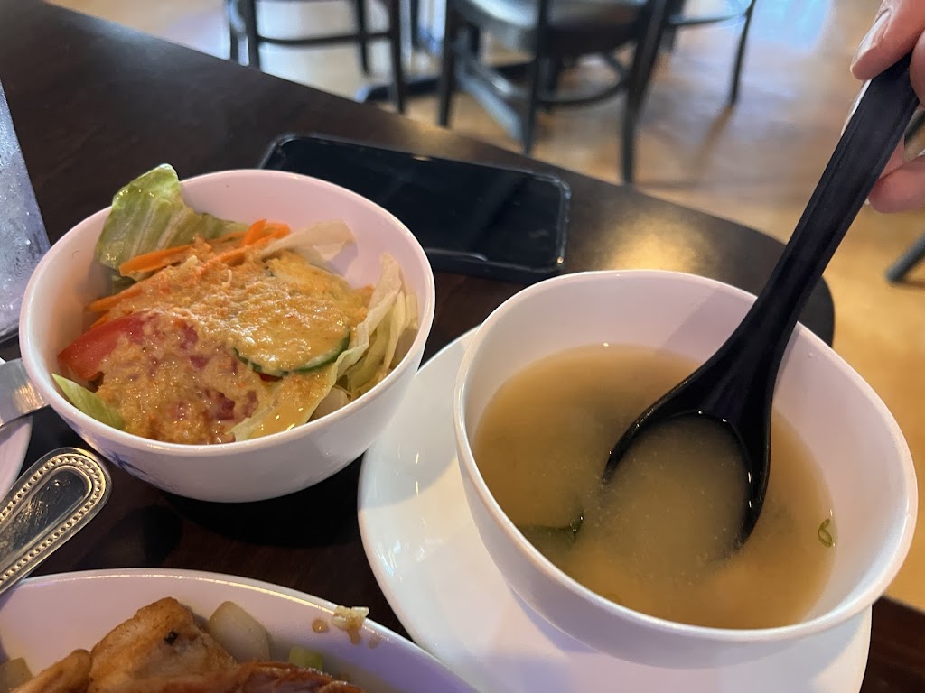 Asiatic Thai-Sushi Northdale | restaurant | 3825 Northdale Blvd, Tampa, FL 33624, USA | 8133747148 OR +1 813-374-7148