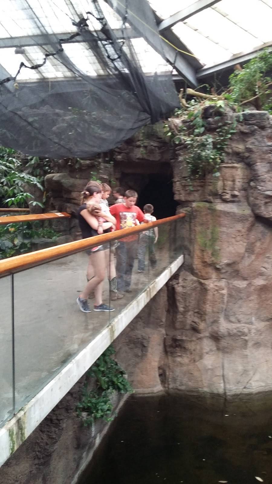 Durham TreeTops Restaurant | restaurant | 3701 S 10th St, Omaha, NE 68107, USA | 4027338401 OR +1 402-733-8401