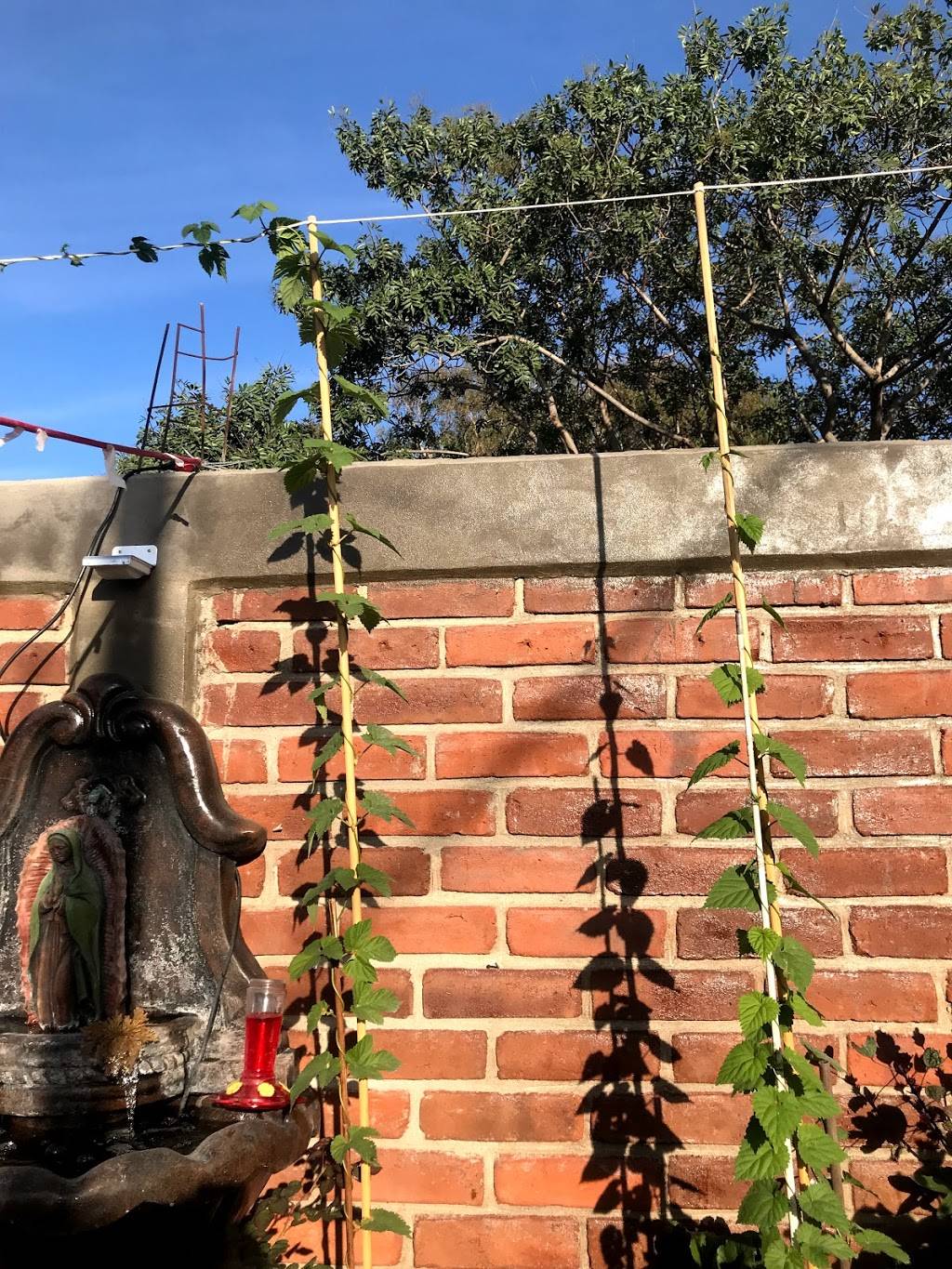 Casa Vargas | restaurant | Eucalipto 48, Zona Centro, 22710 Rosarito, B.C., Mexico | 016611071602 OR +52 661 107 1602