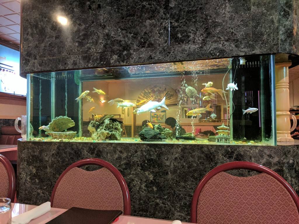 Plum Tree Garden | restaurant | 2034 E Old Lincoln Hwy, Langhorne, PA 19047, USA | 2157529699 OR +1 215-752-9699