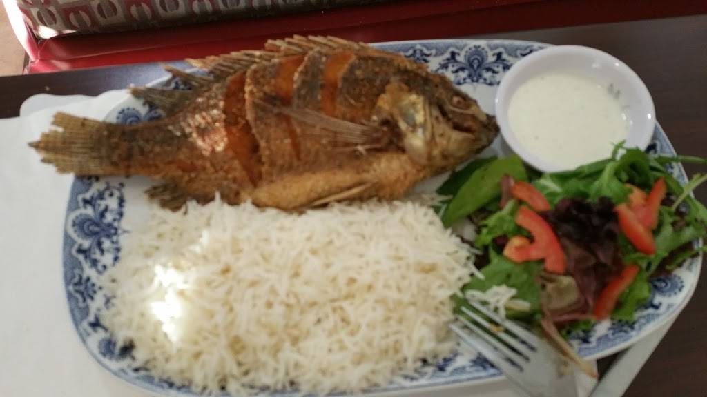 Freshmed | restaurant | 1120 Fulton Ave, Sacramento, CA 95825, USA | 9164861140 OR +1 916-486-1140