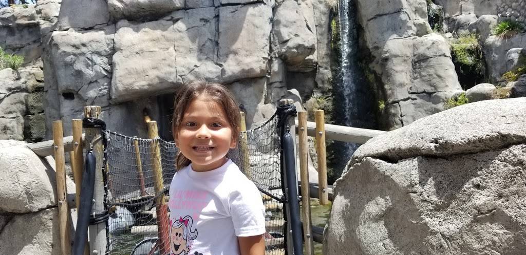 Grizzly Creek Lodge | restaurant | Knotts Berry Farm, Buena Park, CA 90620, USA | 7142205097 OR +1 714-220-5097