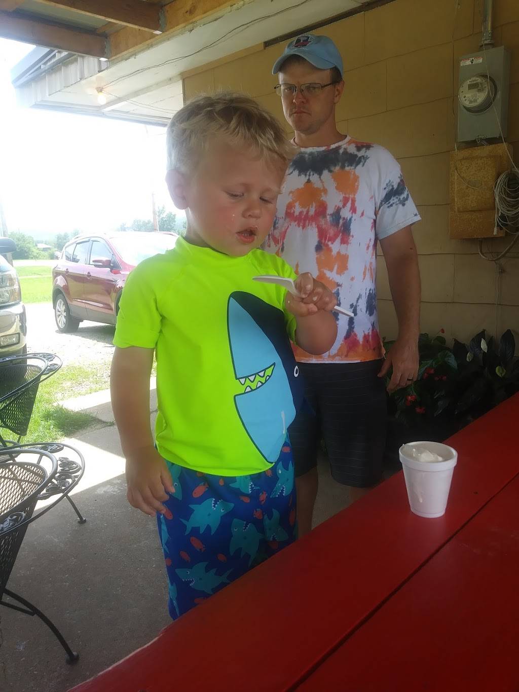 Dairy Dream | restaurant | 1600 US-71, Mountainburg, AR 72946, USA | 4793692295 OR +1 479-369-2295