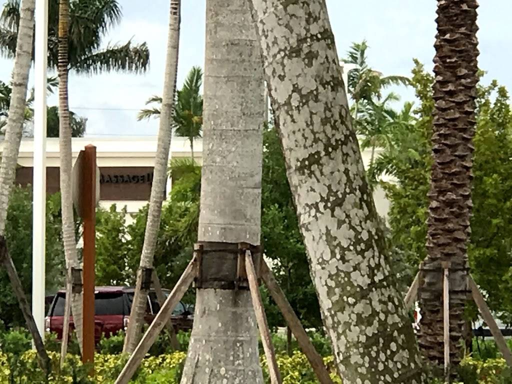 Starbucks | cafe | 5400 Donald Ross Rd #110, Palm Beach Gardens, FL 33418, USA | 5616225565 OR +1 561-622-5565