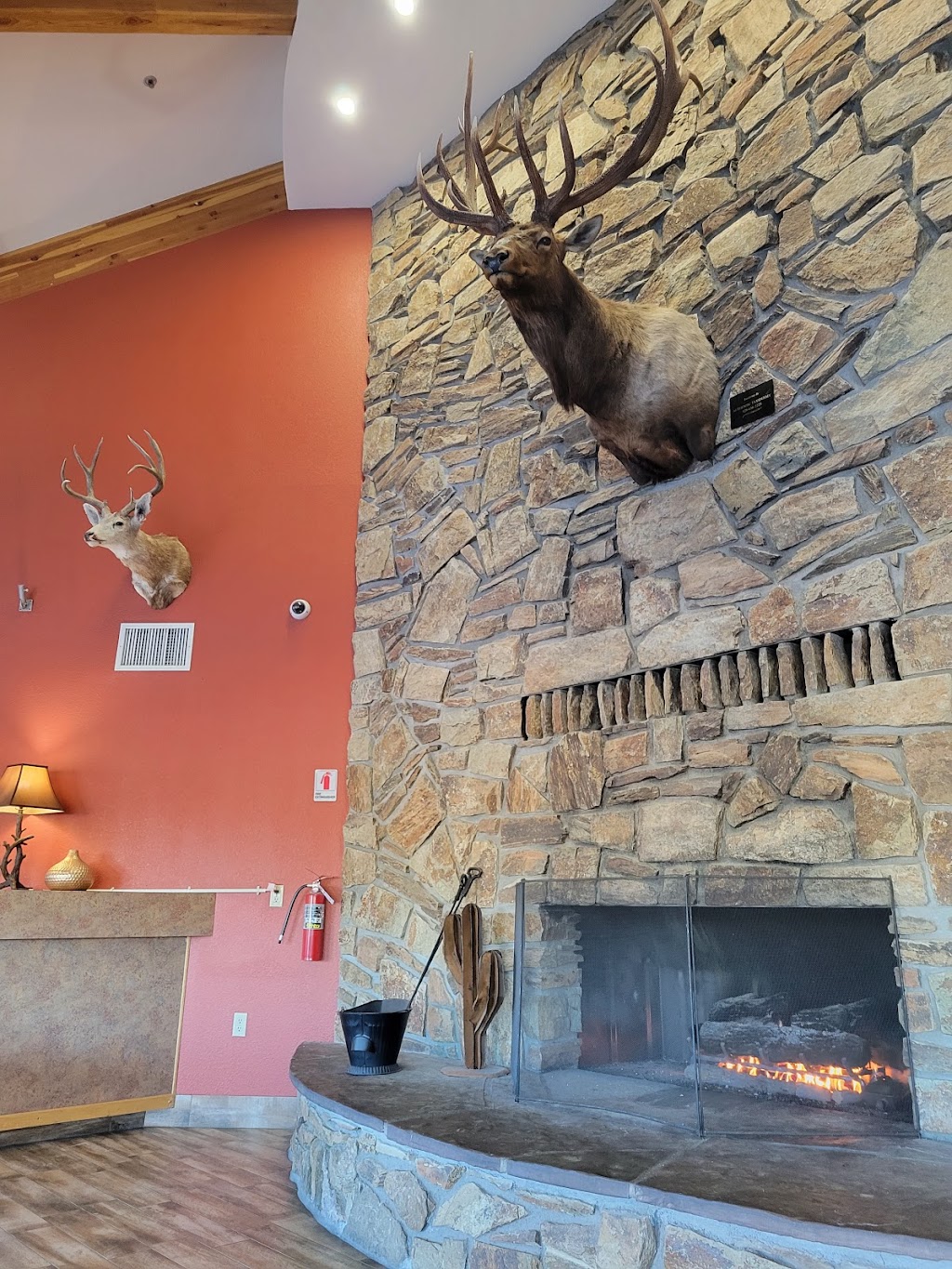 Hualapai Lodge | restaurant | 900 AZ-66, Peach Springs, AZ 86434, USA | 9287692230 OR +1 928-769-2230