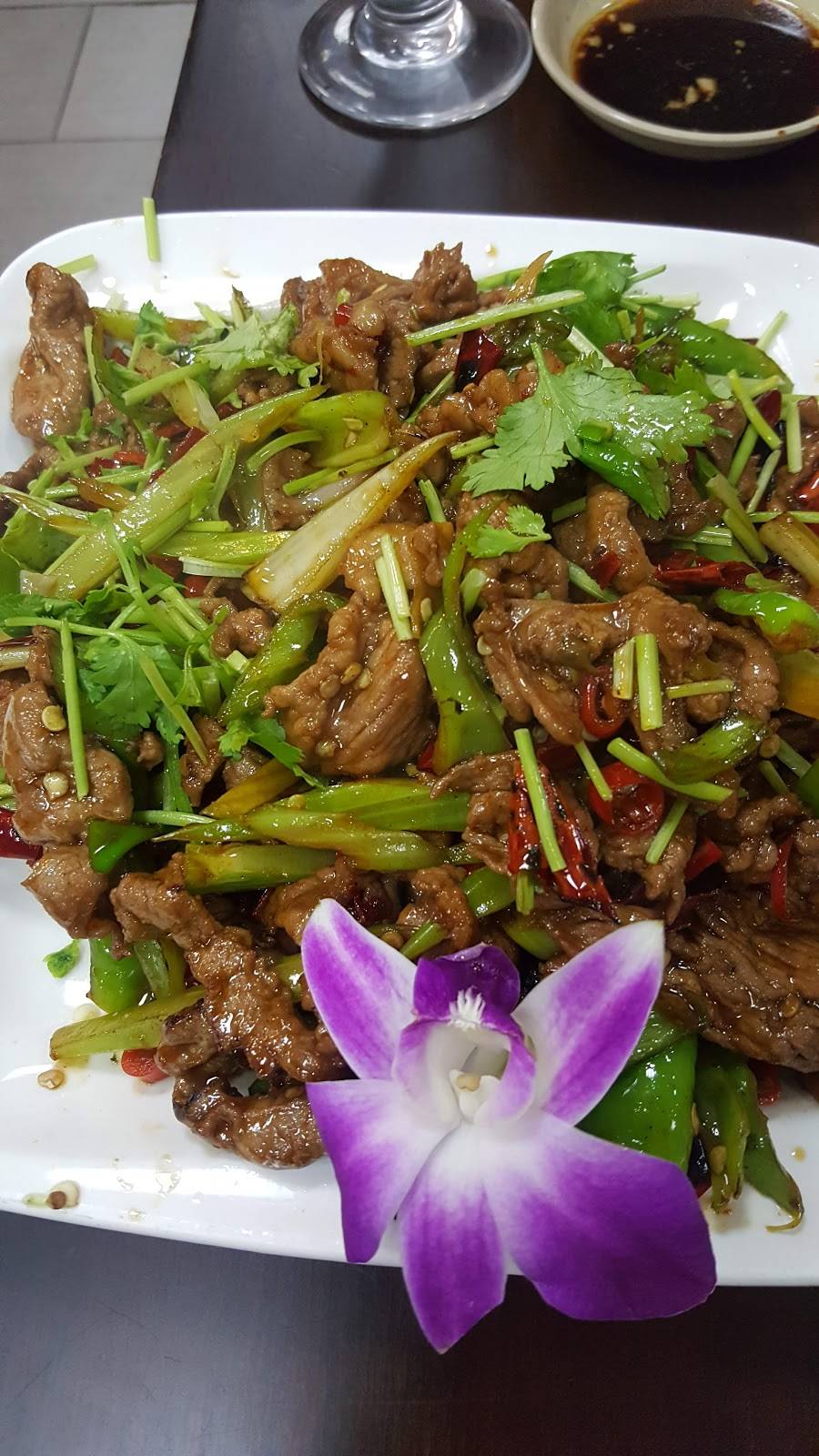 Red Tiger Dumpling House | restaurant | 1320 Stony Brook Rd, Stony Brook, NY 11790, USA | 6316756899 OR +1 631-675-6899