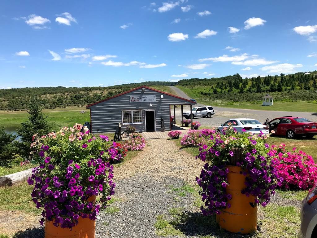 Roses Berry Farm | restaurant | 295 Matson Hill Rd, South Glastonbury, CT 06073, USA | 8606337467 OR +1 860-633-7467
