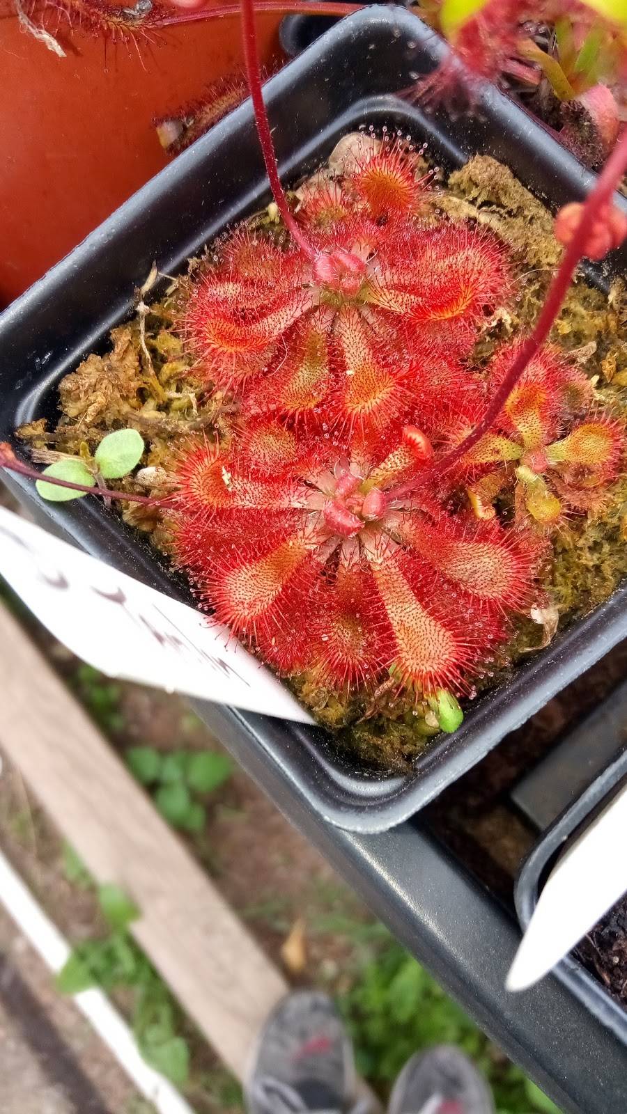 KFC | restaurant | 5735 Florence Ave, Bell Gardens, CA 90201, USA | 3237733323 OR +1 323-773-3323