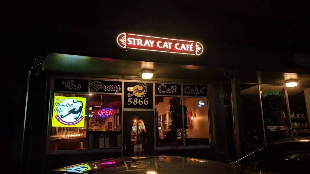 Stray Cat Cafe | restaurant | 5866 Washington Blvd, Arlington, VA 22205, USA | 7032377775 OR +1 703-237-7775
