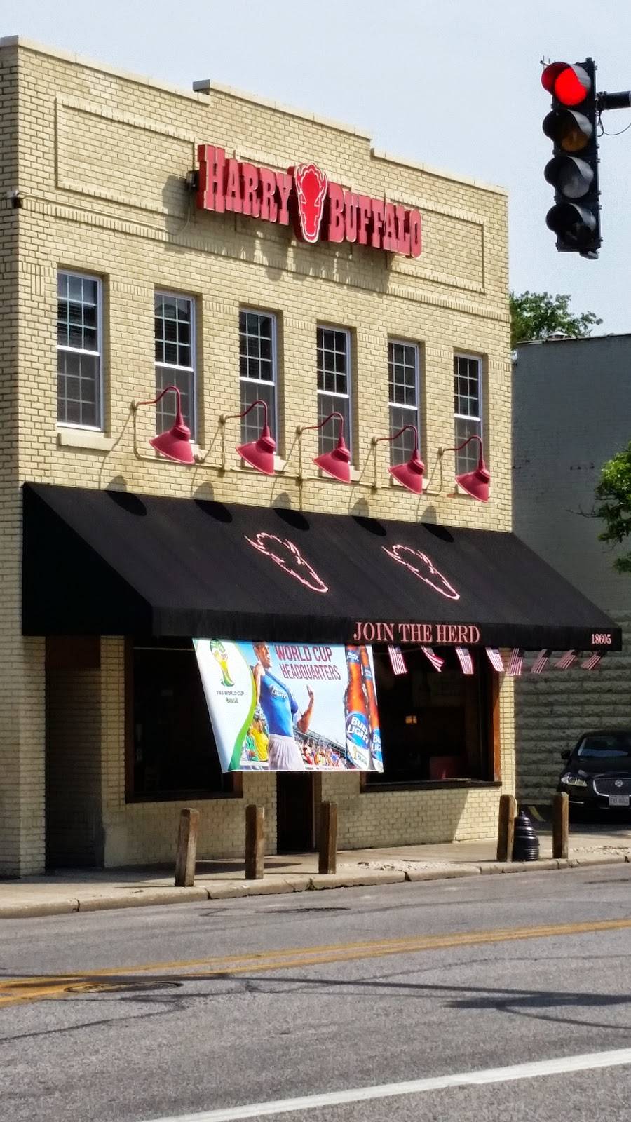 Harry Buffalo Lakewood | restaurant | 18605 Detroit Ave, Lakewood, OH 44107, USA | 2162211313 OR +1 216-221-1313