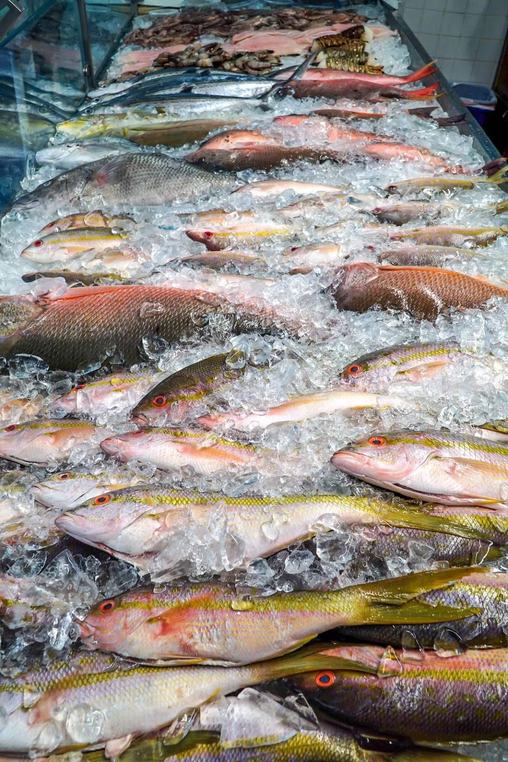 East Coast Fish LLC |  | 12705 NW 42nd Ave, Opa-locka, FL 33054, USA | 7864799241 OR +1 786-479-9241