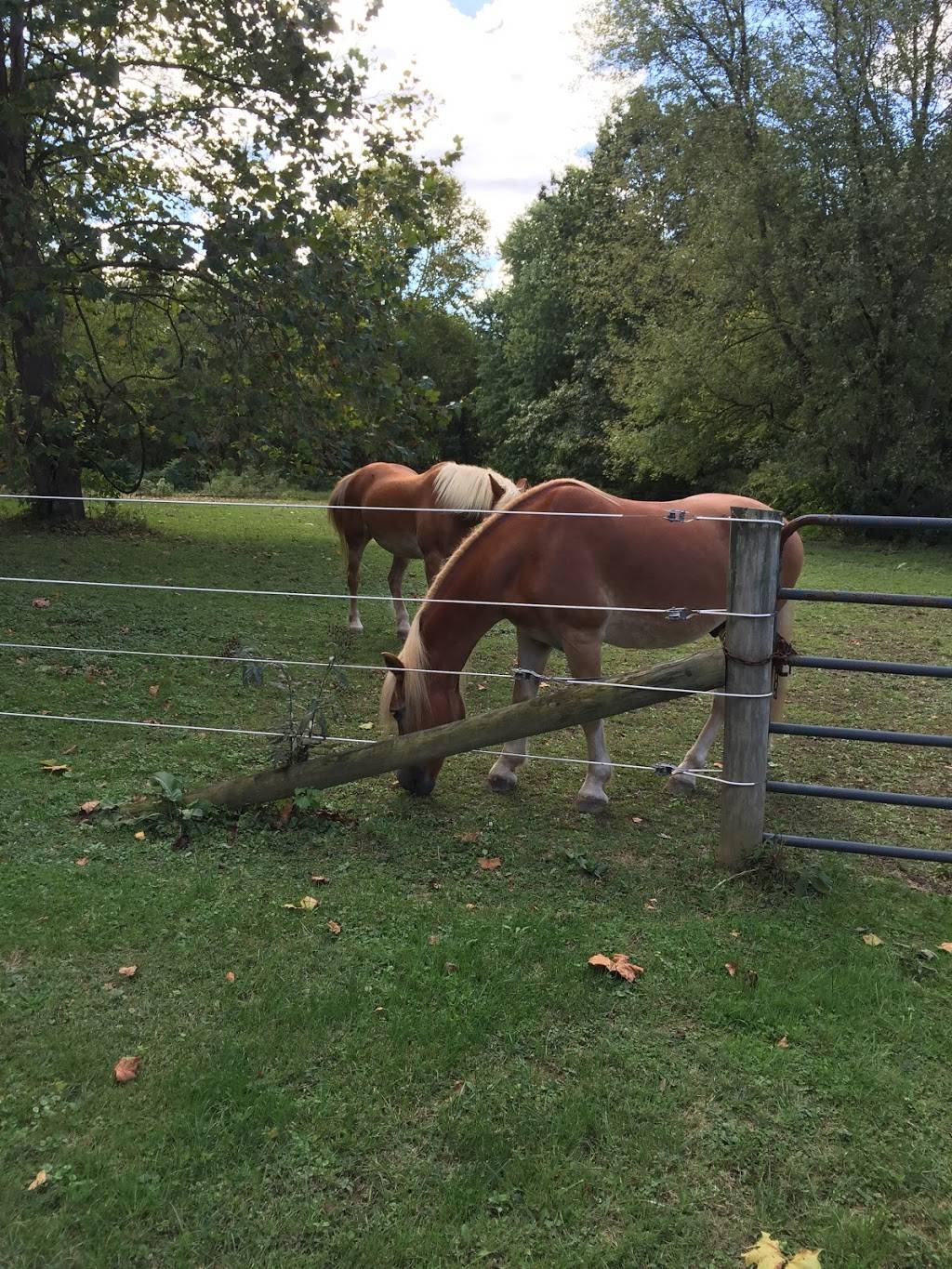 The Boston Waterfront | restaurant | 2422 St David Dr, McKeesport, PA 15135, USA | 4129165532 OR +1 412-916-5532