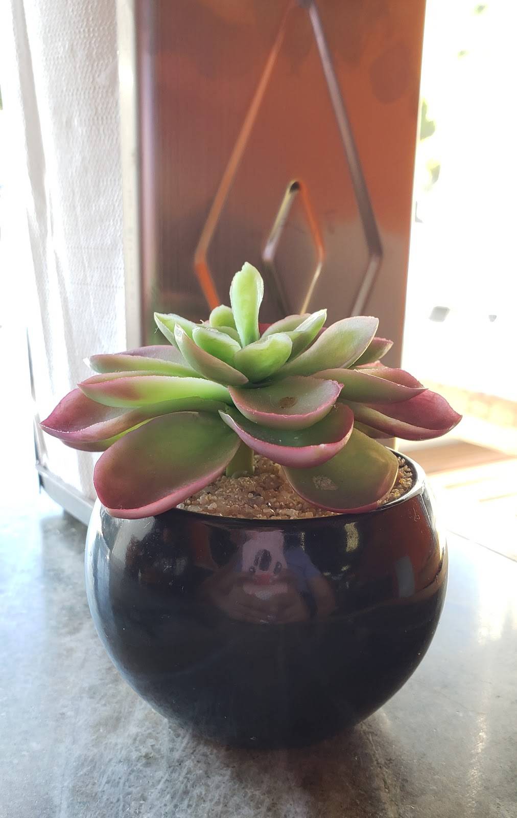 Salsa Venezuelan Street Food | restaurant | 341 Jane St, Toronto, ON M6S 3Z3, Canada | 4167698085 OR +1 416-769-8085