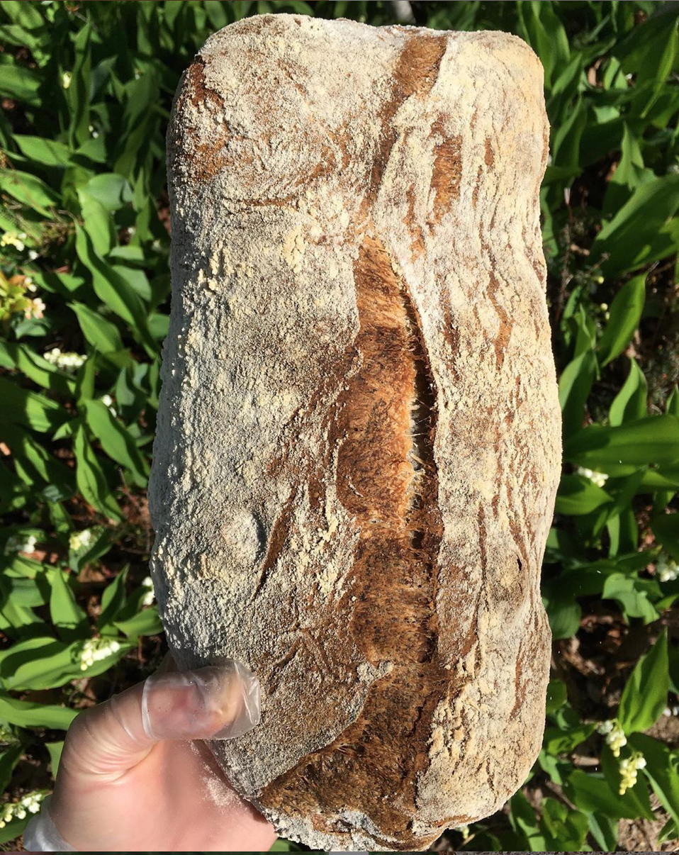 Seaweeds | restaurant | 16 Kennebec Ave, Oak Bluffs, MA 02557, USA | 5083387954 OR +1 508-338-7954