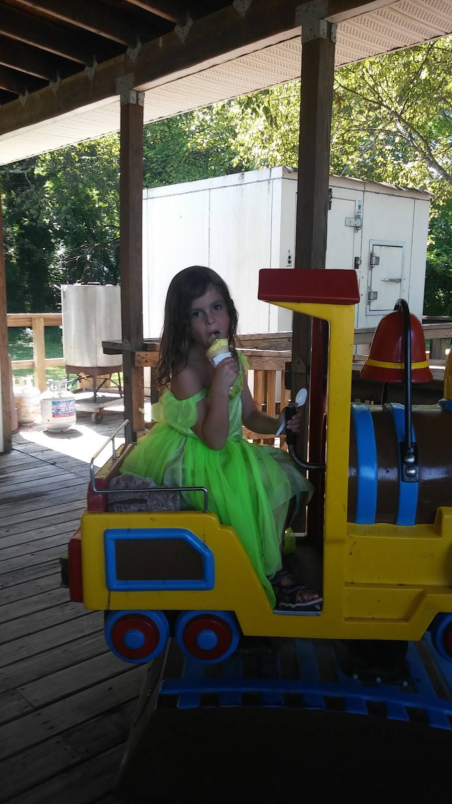 T Cs Shaved Ice | restaurant | 5203 Old York Rd, Rock Hill, SC 29732, USA | 8033663555 OR +1 803-366-3555