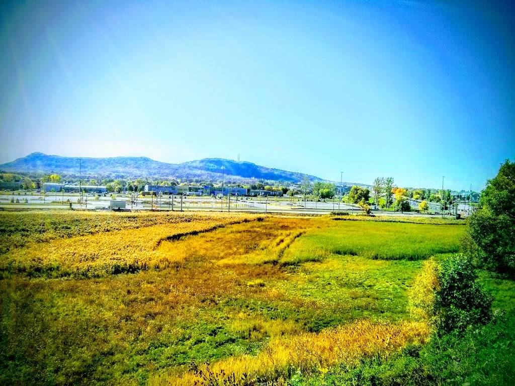 Thai Express | restaurant | Aux Portes de la Cité, 1700 Chemin du Fer-à-Cheval, Sainte-Julie, QC J3E 1A7, Canada | 4506490909 OR +1 450-649-0909