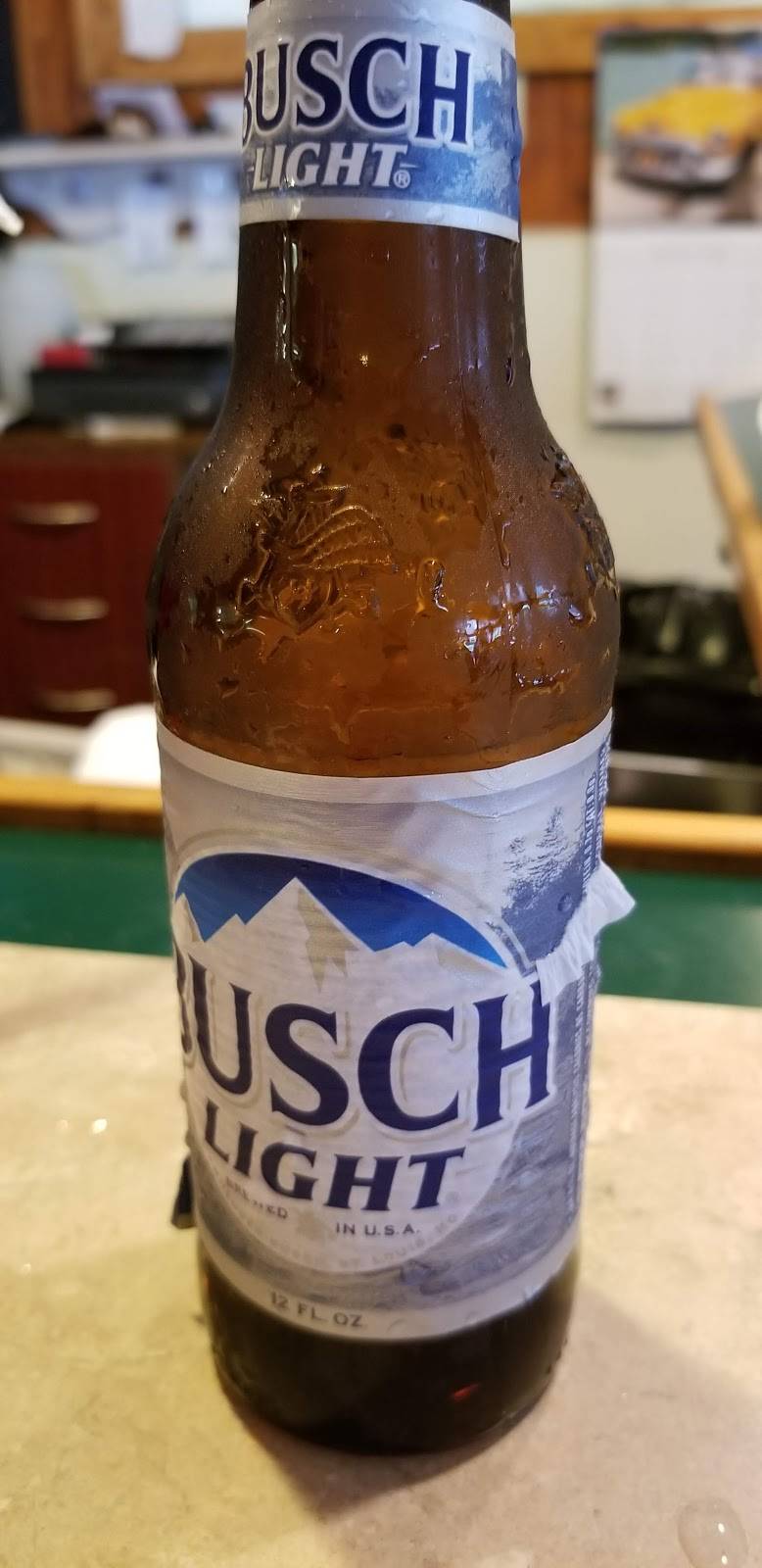 Riverside Restaurant | restaurant | 29250 Lake Lindsey Rd, Nobleton, FL 34661, USA | 3527968222 OR +1 352-796-8222