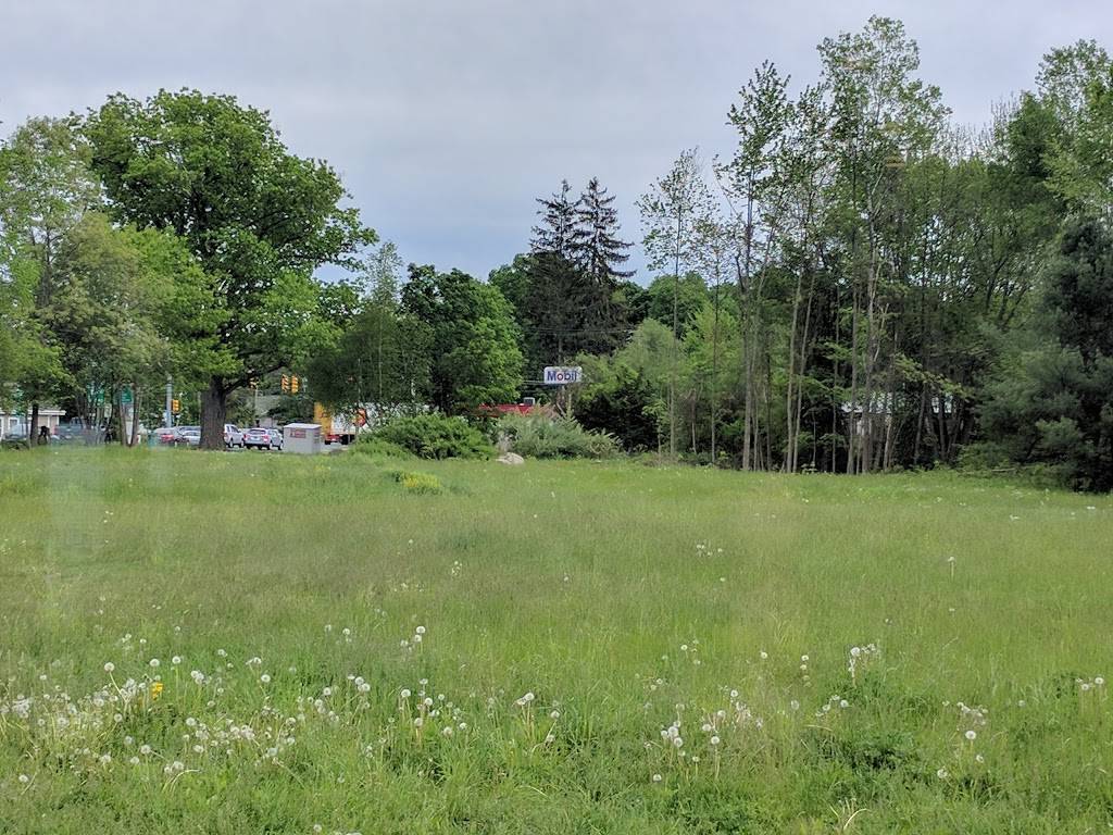 Antonios Pizza | restaurant | 31 Federal St, Belchertown, MA 01007, USA | 4133236844 OR +1 413-323-6844