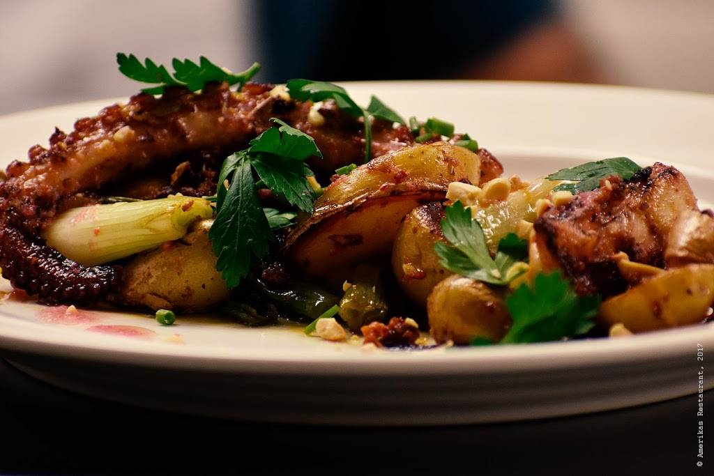 Amerikas Restaurant | restaurant | 734 Lake St, Oak Park, IL 60301, USA | 7086134254 OR +1 708-613-4254